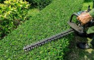 Quels outils de jardinage pour tailler une haie ou un arbuste ?