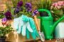 Entretien de jardin : les équipements indispensables à avoir