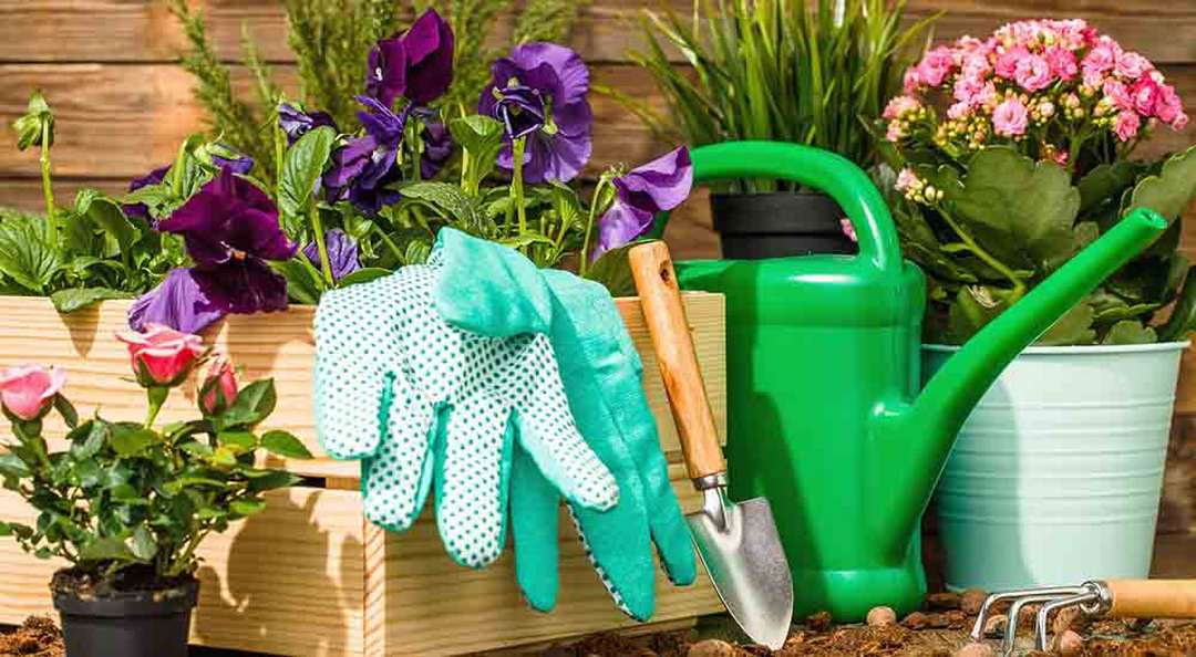 Entretien de jardin : les équipements indispensables à avoir