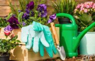 Entretien de jardin : les équipements indispensables à avoir